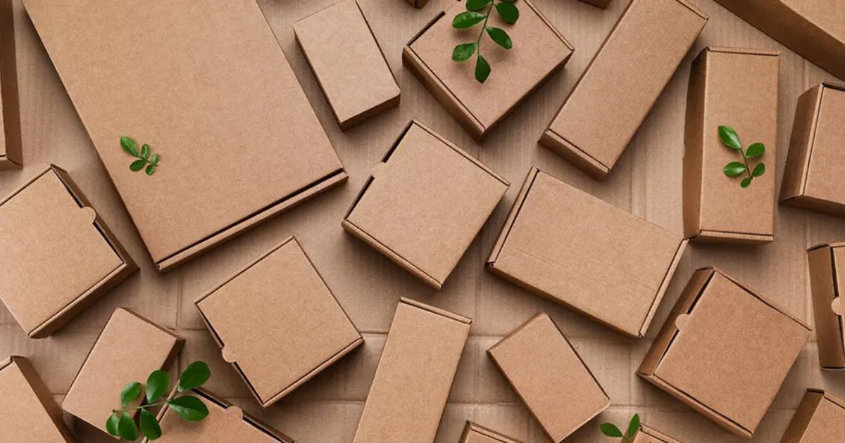 Sustainable Packaging for Business Growth | Devendra Box Packaging